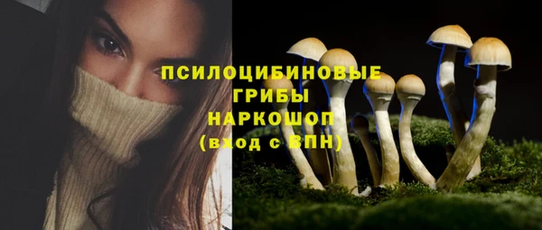 синтетический гашиш Арсеньев