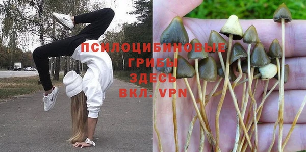 молекула духа Аркадак