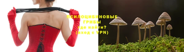 а пвп мука Армянск