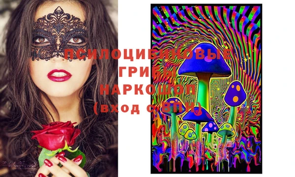 молекула духа Аркадак